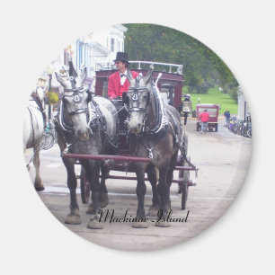 Imán Serie de la isla de Mackinaw
