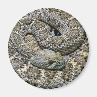 Imán Serpiente