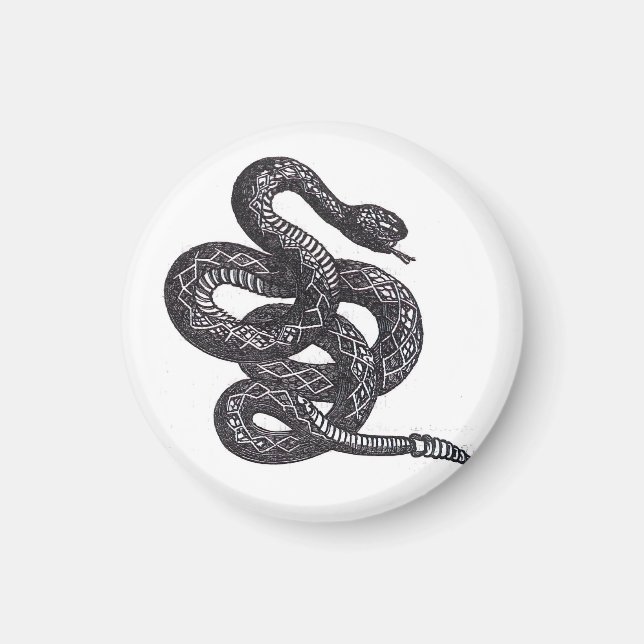 Imán Serpiente Crotalus Cascavella (Víbora de Fosa Vene (Frente)