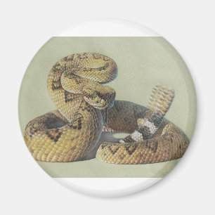 Imán Serpiente de cascabel