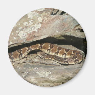 Imán Serpiente de cascabel en el Parque Nacional Shenan