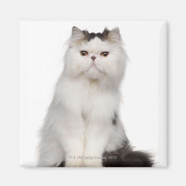 Imán Sesión en persa (10 meses) (Frente)