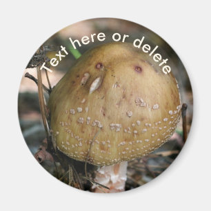 Imán Seta Personalizada de Bosque Natural