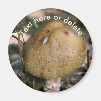 Imán Seta Personalizada de Bosque Natural
