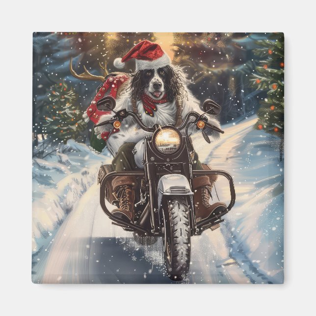 Imán Setter Inglés Perro Montando Motocicleta Navidad (Frente)