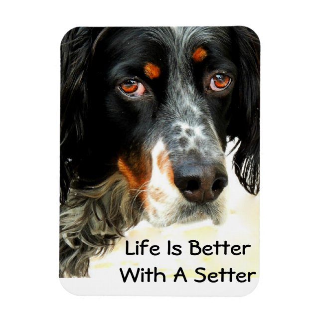 Imán Setter Love Photo Magnet (Vertical)