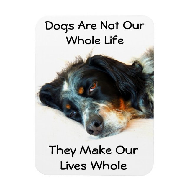 Imán Setter Love Photo Magnet (Vertical)