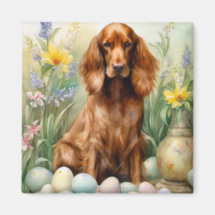 Imán Setter rojo irlandés con huevos de Pascua