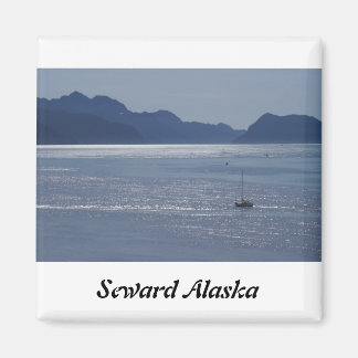 Imán Seward Inlet Alaska