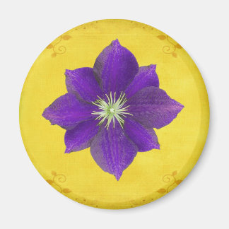 Imán Sexto regalo de Chakra - Tercer ojo