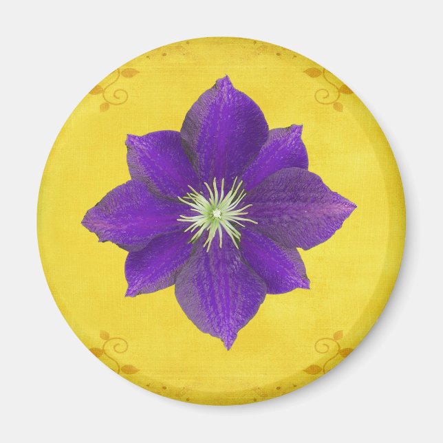 Imán Sexto regalo de Chakra - Tercer ojo (Frente)