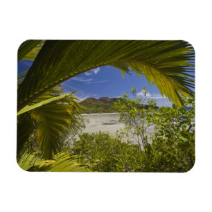 Imán Seychelles, Isla Curieuse, Bahía Laraie
