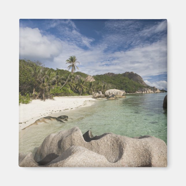Imán Seychelles, isla de La Digue, L'Union Estate (Frente)