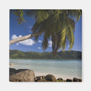 Imán Seychelles, Isla de Mahe, Anse a la Mouche