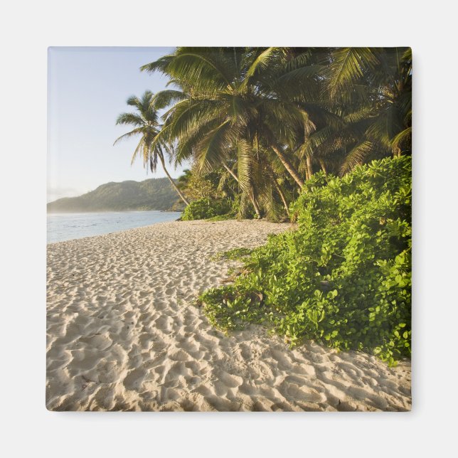 Imán Seychelles, isla de Mahe, Anse Marie-Louise (Frente)