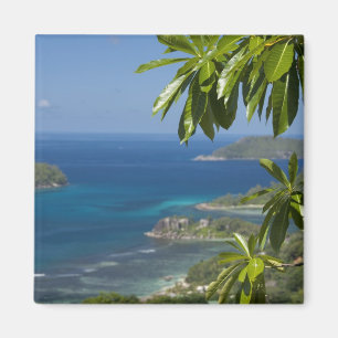 Imán Seychelles, Isla de Mahe. Costa occidental de
