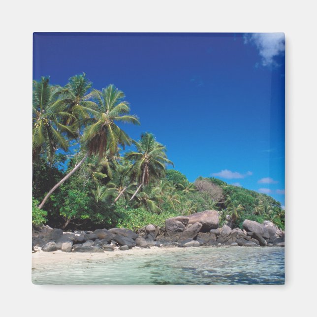 Imán Seychelles, Isla de Mahe, Playa Anse Royale. 2 (Frente)