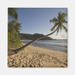Imán Seychelles, isla de Mahe, playa Anse Takamaka,