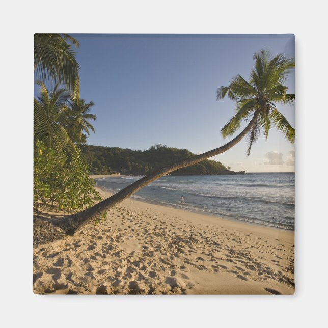 Imán Seychelles, isla de Mahe, playa Anse Takamaka, (Frente)