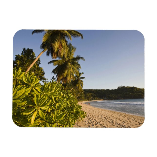 Imán Seychelles, isla de Mahe, playa de Anse Takamaka, (Horizontal)