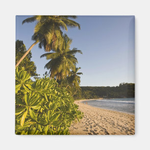 Imán Seychelles, isla de Mahe, playa de Anse Takamaka,