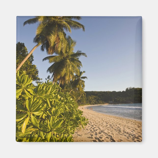 Imán Seychelles, isla de Mahe, playa de Anse Takamaka, (Frente)