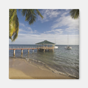 Imán Seychelles, isla de Praslin, Anse Bois de Rose,