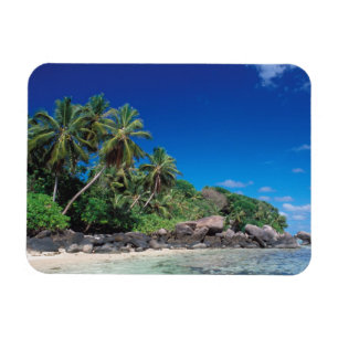 Imán Seychelles, isla Mahe, playa Anse Royale.2