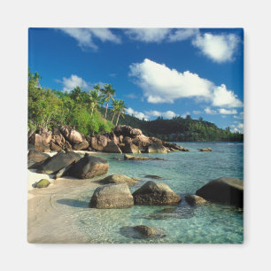 Imán Seychelles, isla Mahe, playa Anse Royale.3