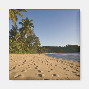 Imán Seychelles, isla Mahe, playa de Anse Takamaka, 2