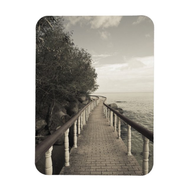 Imán Seychelles, la isla de Praslin, Anse Bois de Rosa, (Vertical)