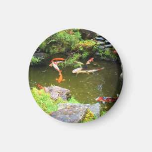 Imán SF Tea Garden Japonés Koi Pond #1 Magnet