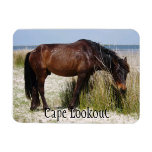 Imán Shackleford Bank Wilse Horse Magnet