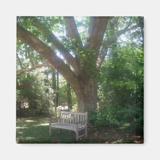 Imán Shady Place to Relax Magnet