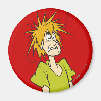 Imán Shaggy asustada