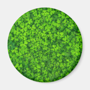 Imán Shamrock Clovers Green Irish Symbol Irlanda