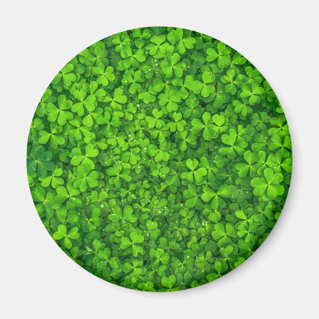 Imán Shamrock Clovers Green Irish Symbol Irlanda (Frente)