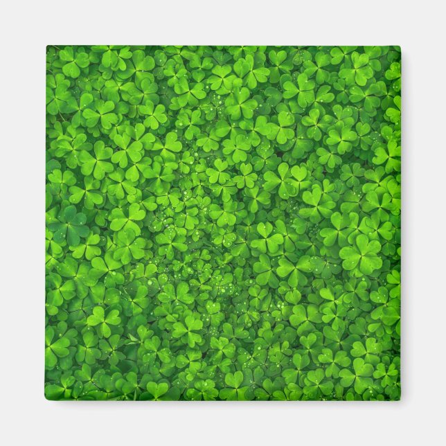 Imán Shamrock green, St. Patrick's Day, (Frente)