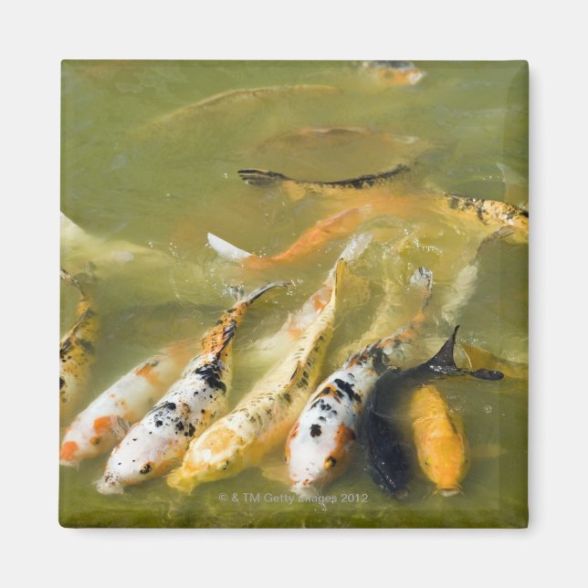 Imán Shanghai, China (Frente)