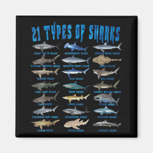 Imán Shark Lovers 21 Types Of Sharks Ocean Animal