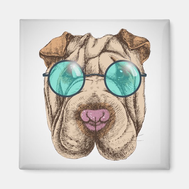 Imán Sharpei En Gafas De Sol (Frente)