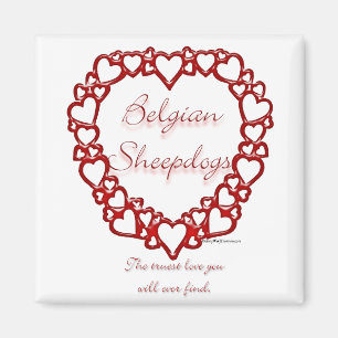 Imán Sheepdog True Love