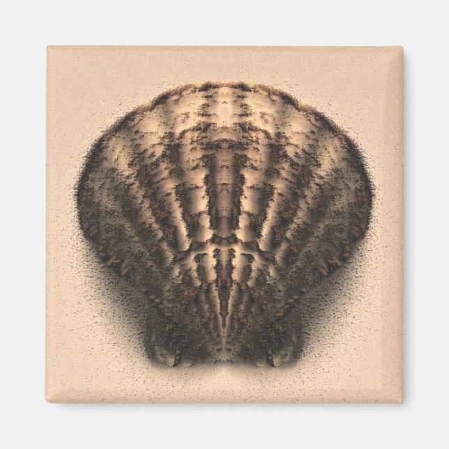 Imán Shell Magnet (Frente)