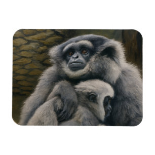 Imán Shelter Gibbon - Retrato emocional de la vida silv