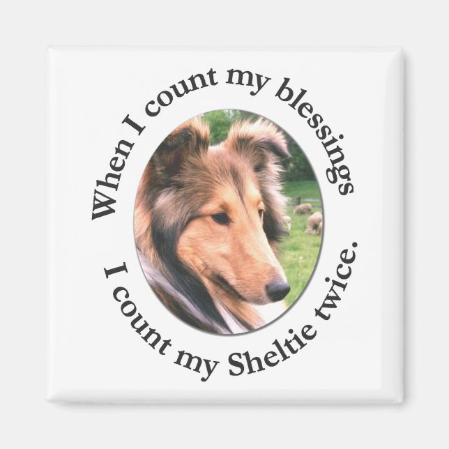 Imán Sheltie Blessing Magnet (Frente)