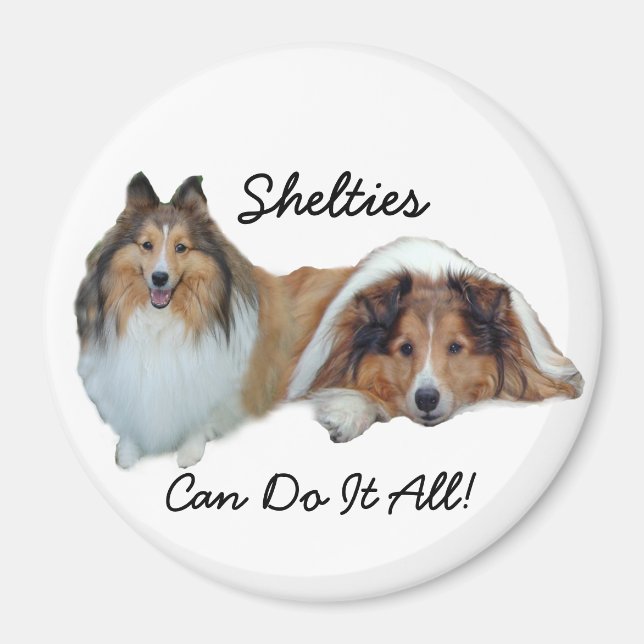 Imán Sheltie Magnet (Frente)