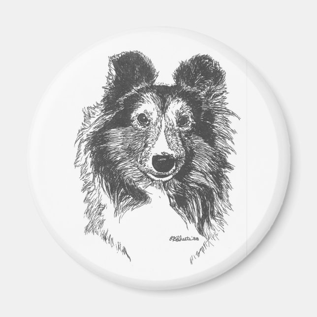 Imán Sheltie Magnet (Frente)