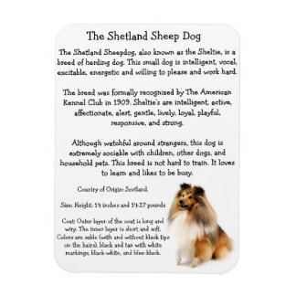 Imán Sheltie Magnet