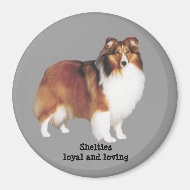 Imán Sheltie Magnet (Frente)