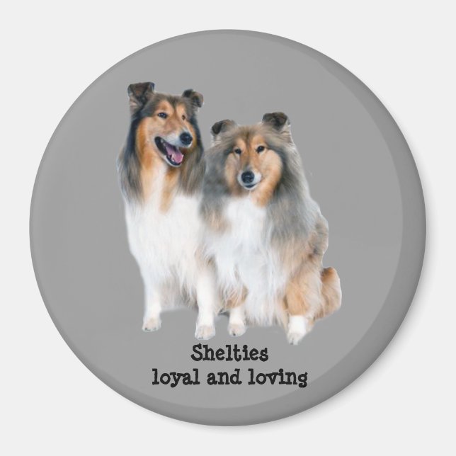 Imán Sheltie Magnet (Frente)